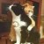 黑猫